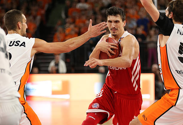 市场上的动 市场上的动